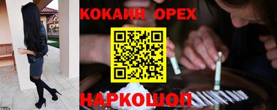 мдпв Новозыбков