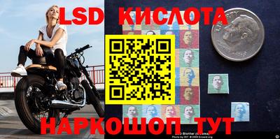 мдпв Новозыбков