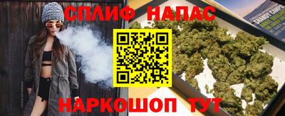 мдпв Новозыбков